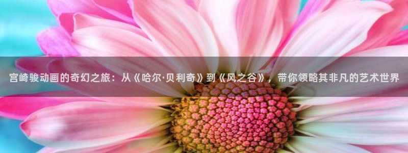 喵趣漫画在哪看：宫崎骏动画的奇幻之旅：从《哈尔·贝利奇》到《风之谷》，带你领略其非凡的艺术世界