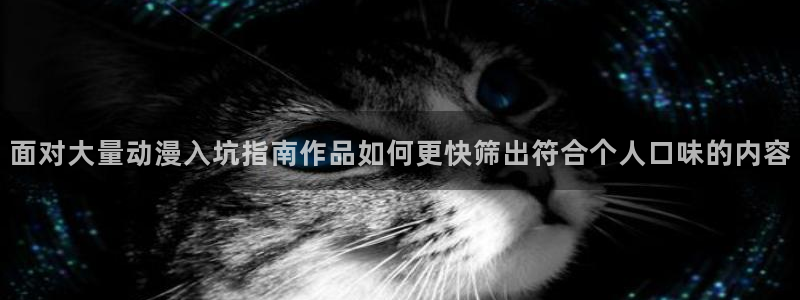 喵趣漫画章节：面对大量动漫入坑指南作品如何更快筛出符合个人口味的内容